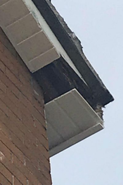 Roof Repairs South Dublin Rotten Fascias